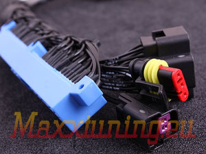 MaxxECU Plugin adapter - Nissan S13 CA18