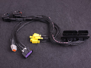 Audi 1.8T (ME 7.5) MaxxECU RACE plugin adapter
